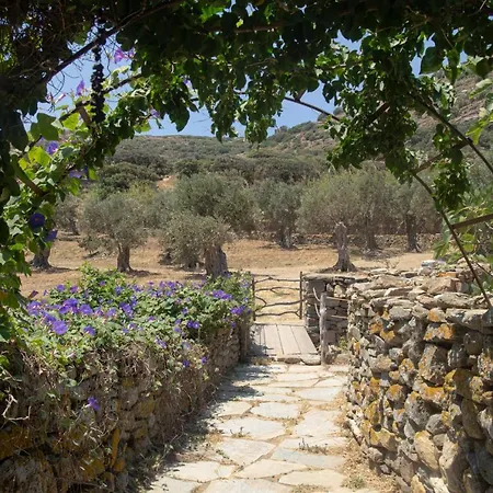 Under The Linden Tree Tinos *