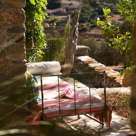 Under The Linden Tree Tinos