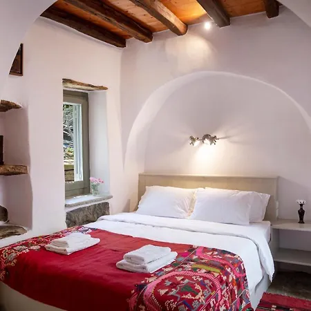 Country house Under The Linden Tree Tinos *